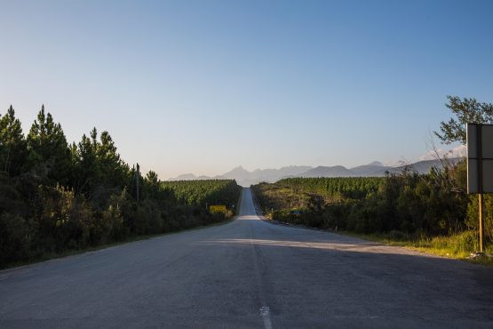 Suppose to have an image here